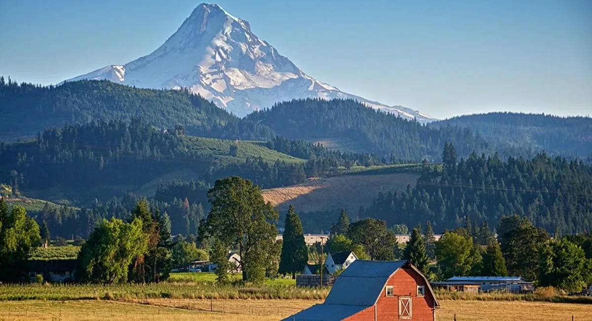 Mount Hood from the farmland east of Gresham