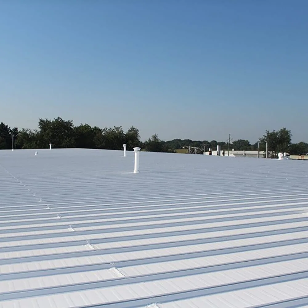 Silicone Roof Coatings in Gresham, OR