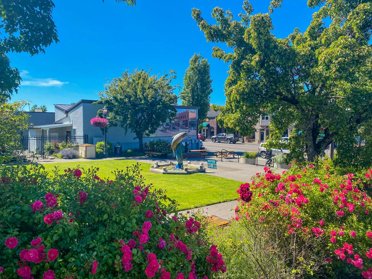 Commercial Roofing in Troutdale Town Center, Troutdale, OR